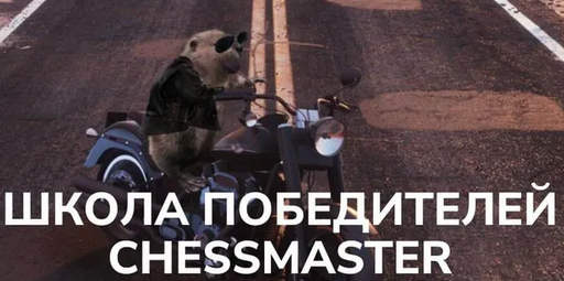 1757032172444.png