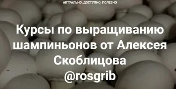 1653140600702.png