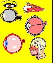 1721812987578.png