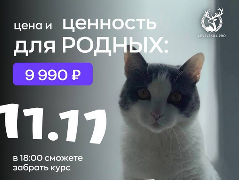 1732777075940.png