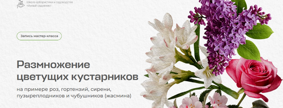 1720716631539.png