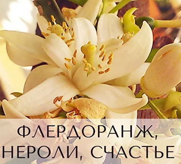 1737014735392.png