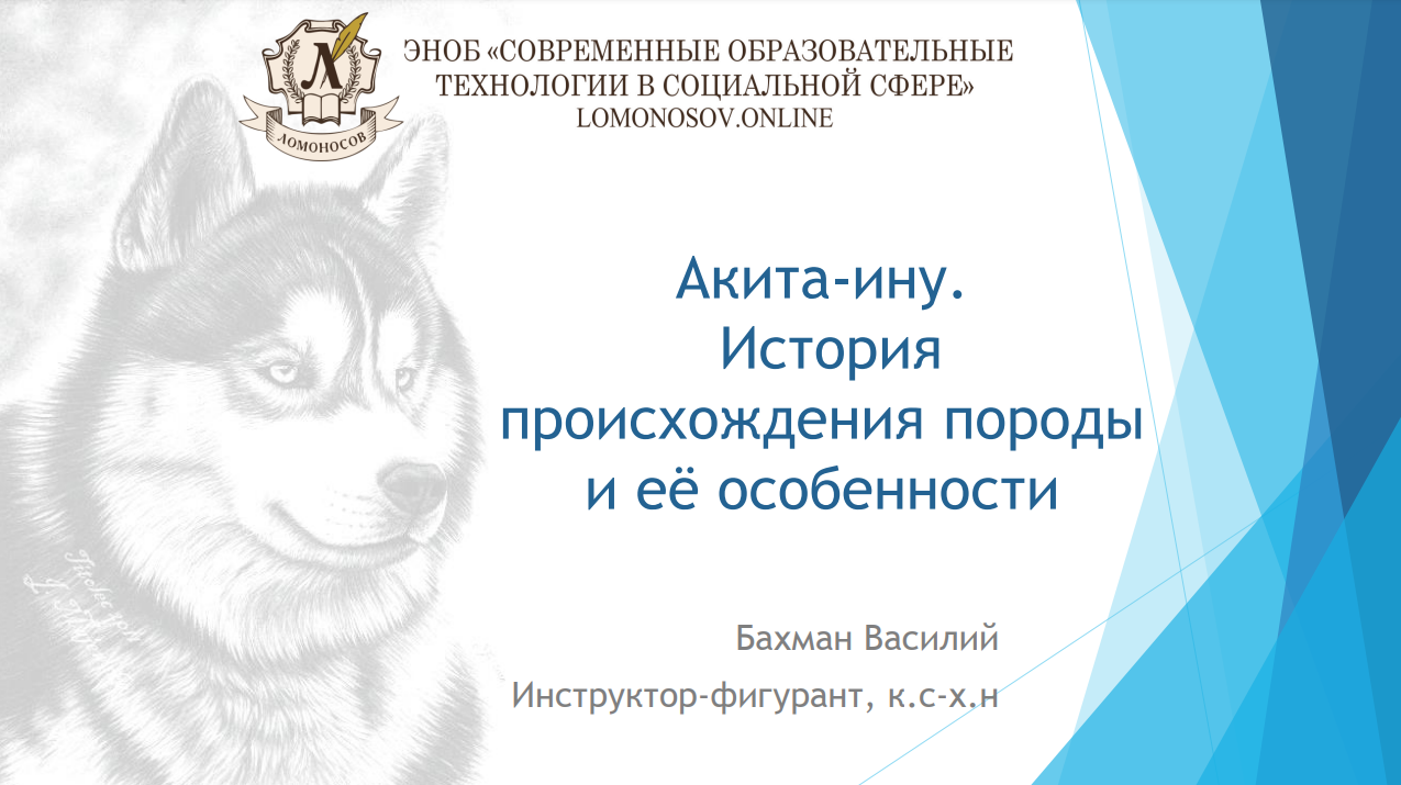 1706685726538.png