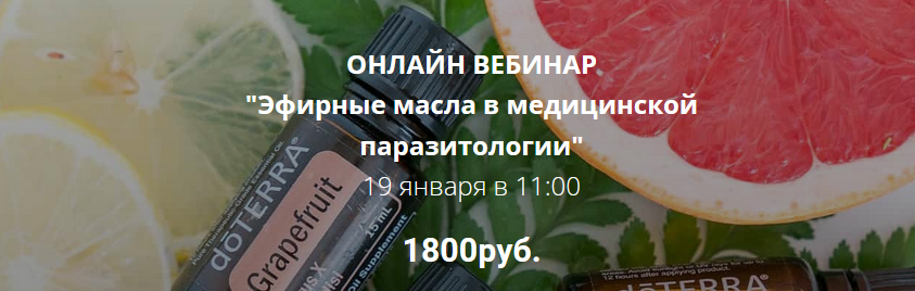 1643272405127.png