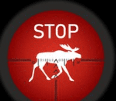 1661327481319.png