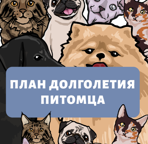 1660556556339.png