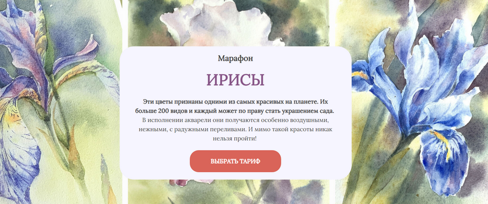 1712230665929.png
