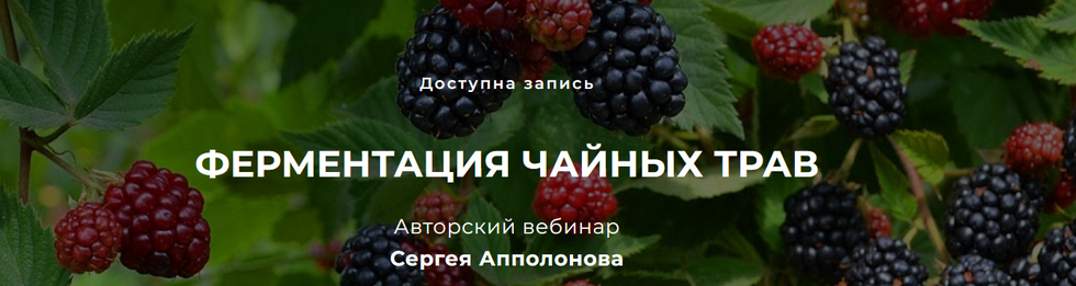 1656794082977.png