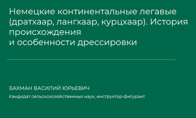 1711786529433.png