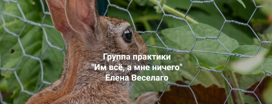 1717047881899.png