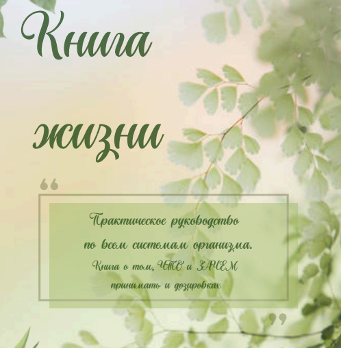 1726474764024.png