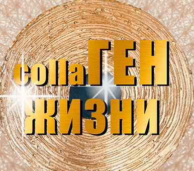 1733150670404.png