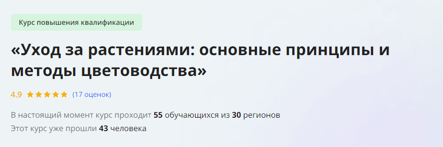 1729578813336.png