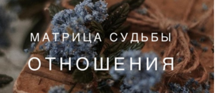 1667199250283.png