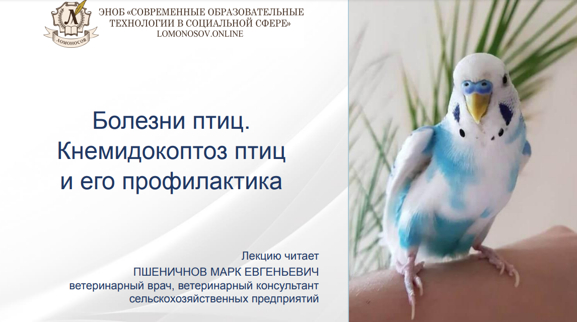 1706250283846.png