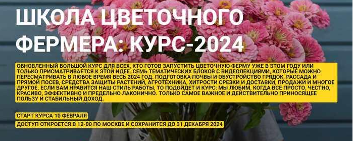 1711698032707.png