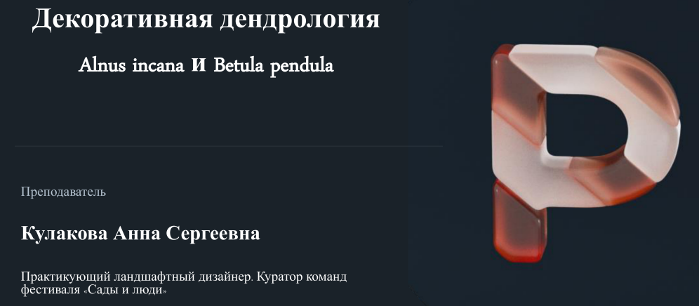 1725905050851.png