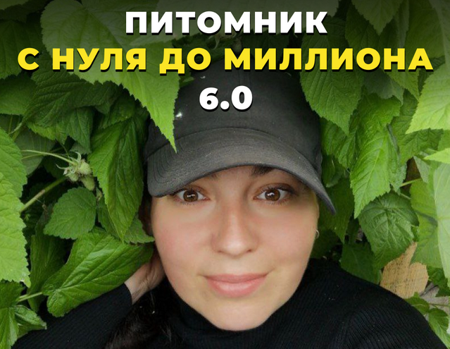 1709977704593.png