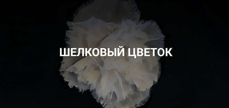 1728213215824.png