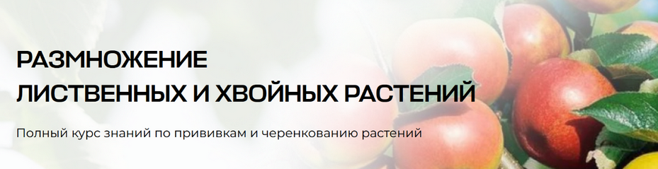 1729340765641.png