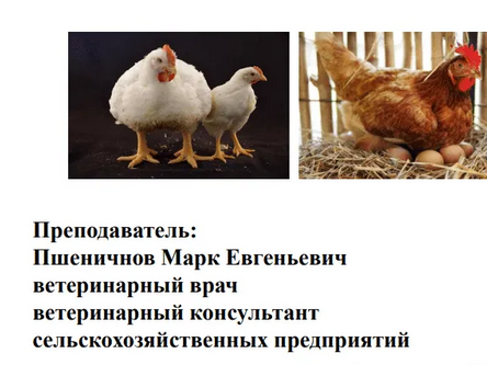 1706249788435.png