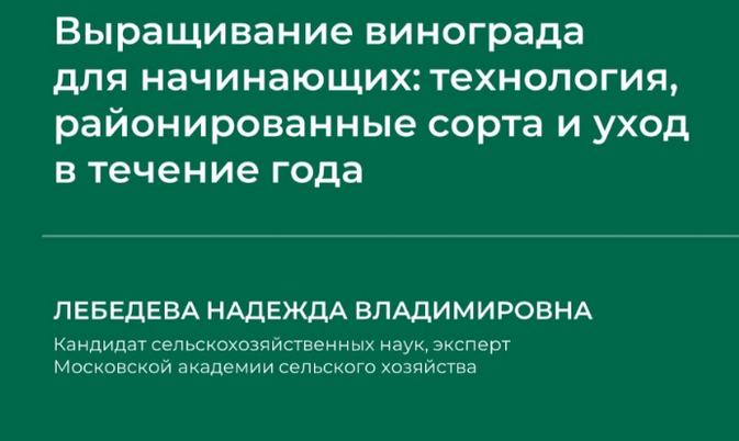 1736850629818.png