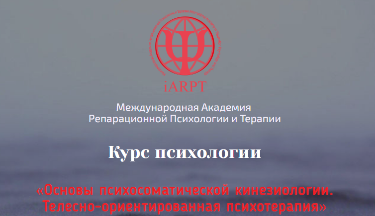 1698402240131.png