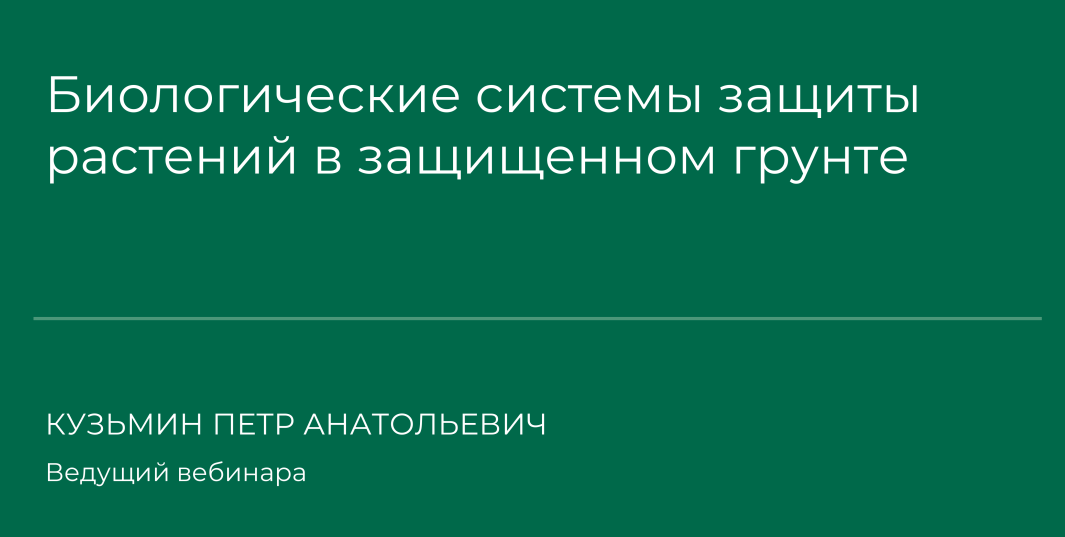 1725905005198.png