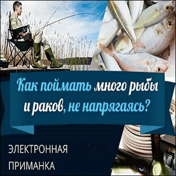 1665398545737.png