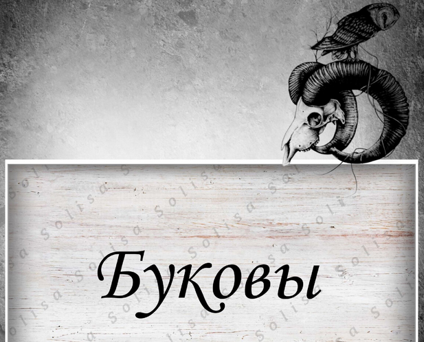 1737445007985.png