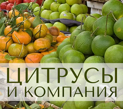 1732527335536.png