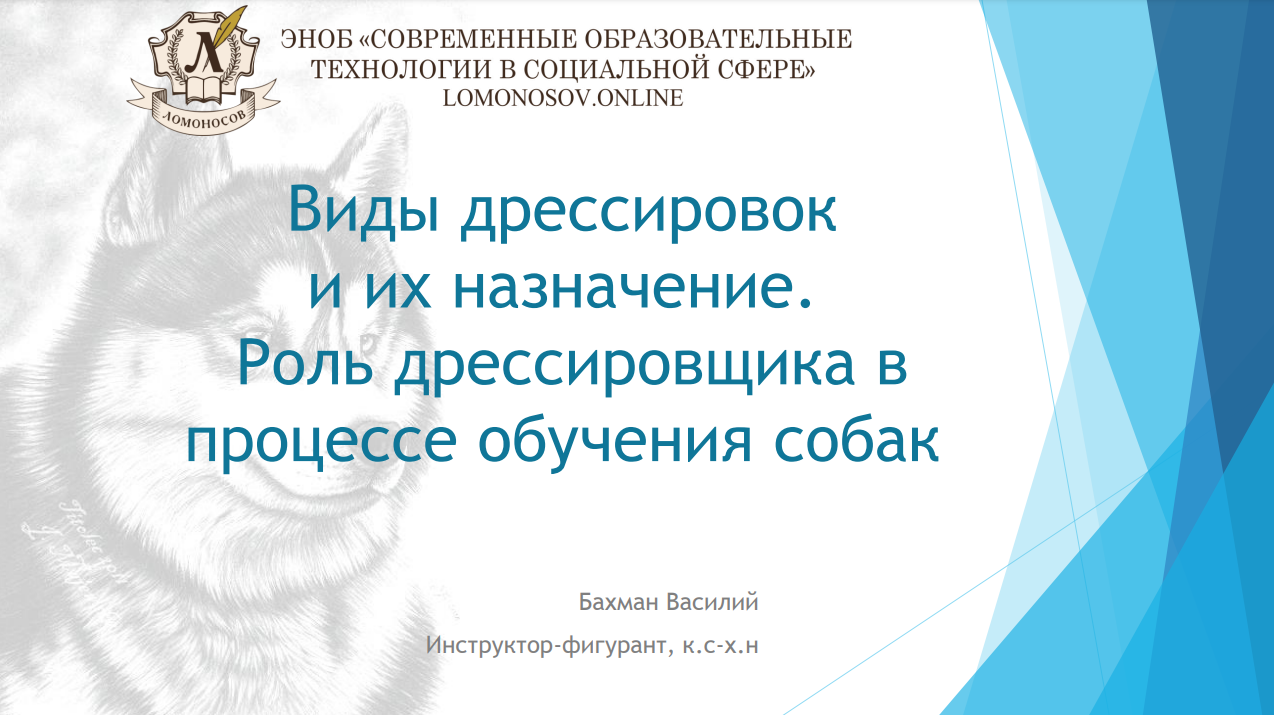 1706685516561.png