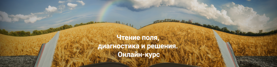 1715352088647.png