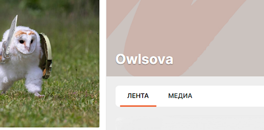 1723702781933.png