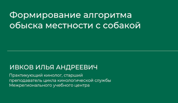 1711786559724.png