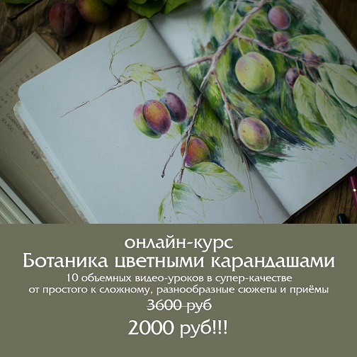1708239860138.png