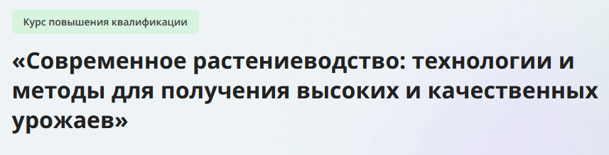 1717396229831.png