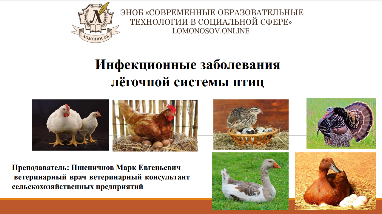1706595649090.png
