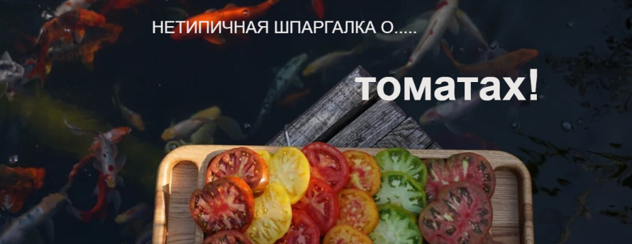 1716477265627.png