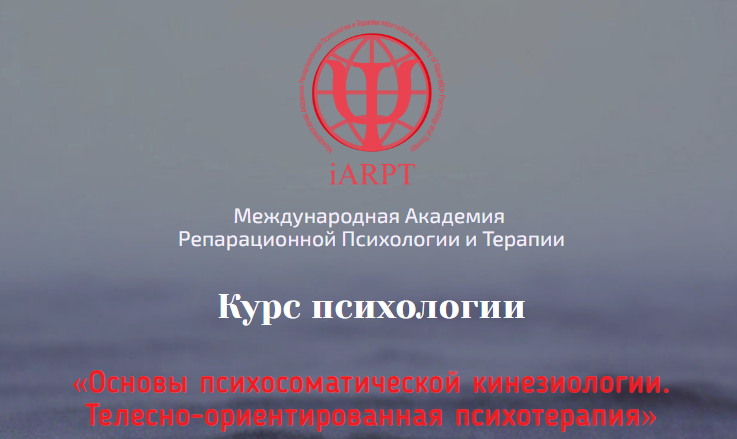 1698577374788.png