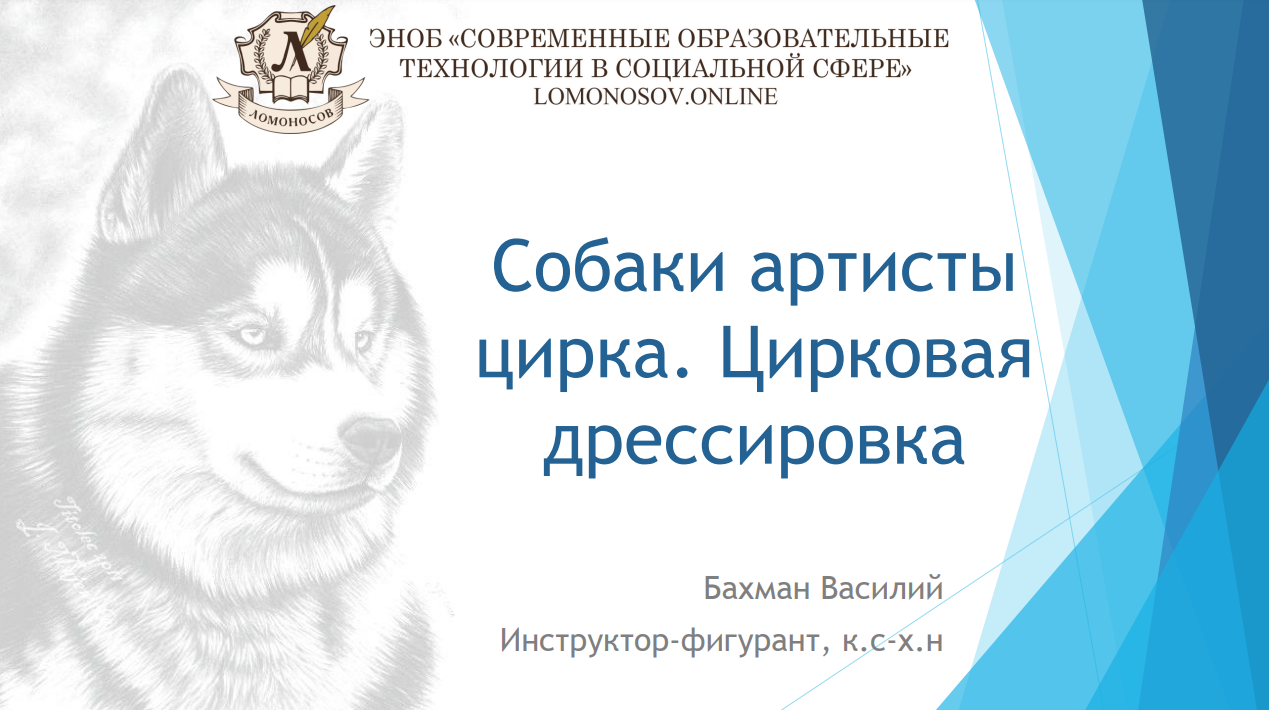 1706606925686.png