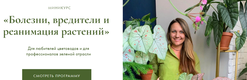 1720716610696.png