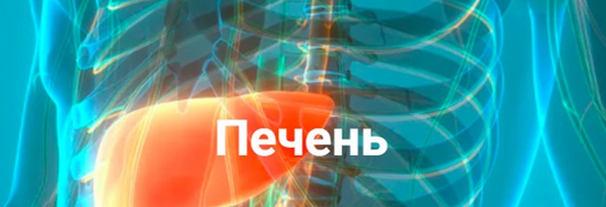 1732099055760.png