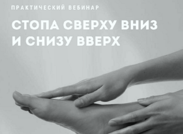 1743502415610.png