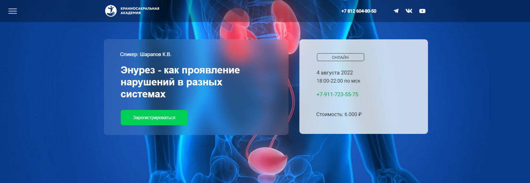 1726478368479.png