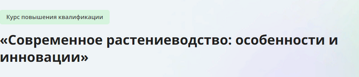 1722409622700.png