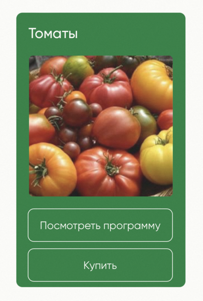 1725779892353.png