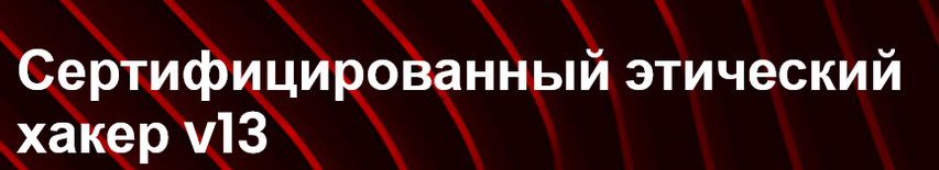 1740570246816.png