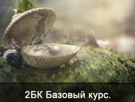 1731480863018.png