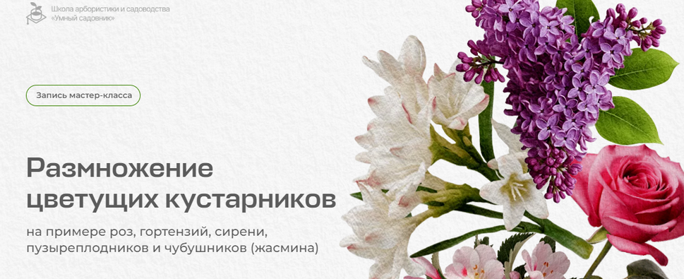 1720716650855.png